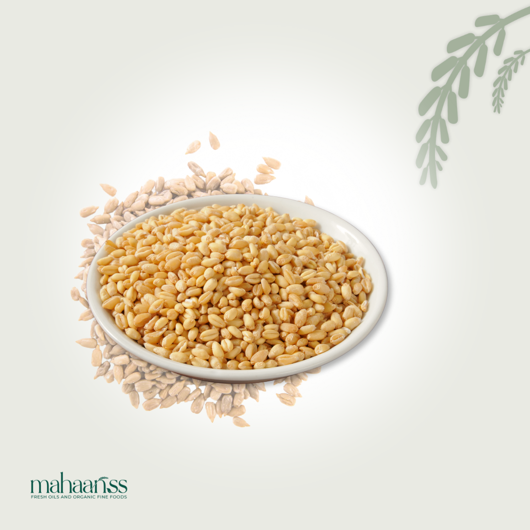 Organic wheat kernels in a white bowl on a light background, whole grains visible.