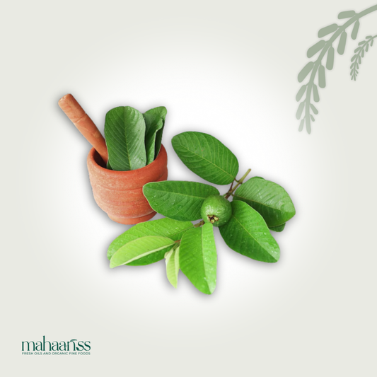 Natural Guava Leaf