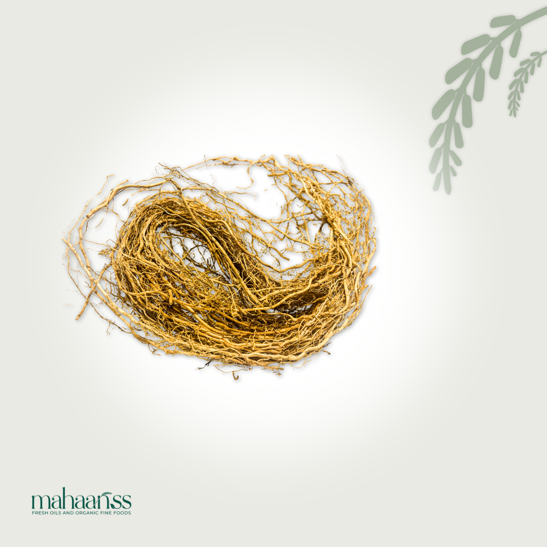 Natural dried vetiver root bundle on a light background, organic herbs for wellness
